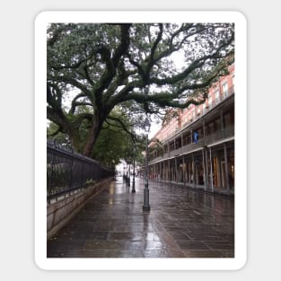 Jackson Square on a Rainy Day Sticker